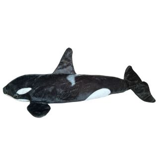 Obrázek z Kosatka plyš 80cm 